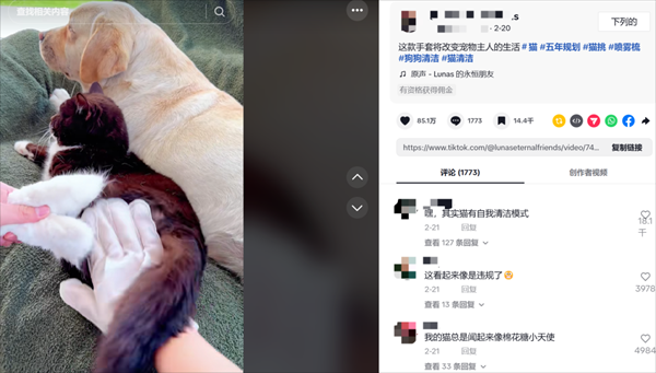 細分賽道產(chǎn)品如何在TikTok賣火賣爆？