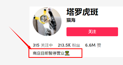 寵物博主