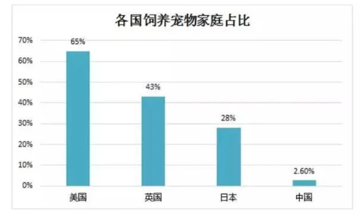 寵物用品出海，瞄準(zhǔn)這些市場，躺賺！