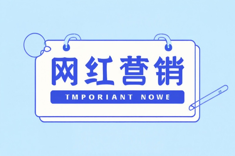 海外網(wǎng)紅營(yíng)銷