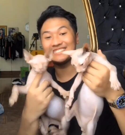 tiktok紅人推廣