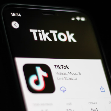 Tik Tok 網(wǎng)紅營(yíng)銷