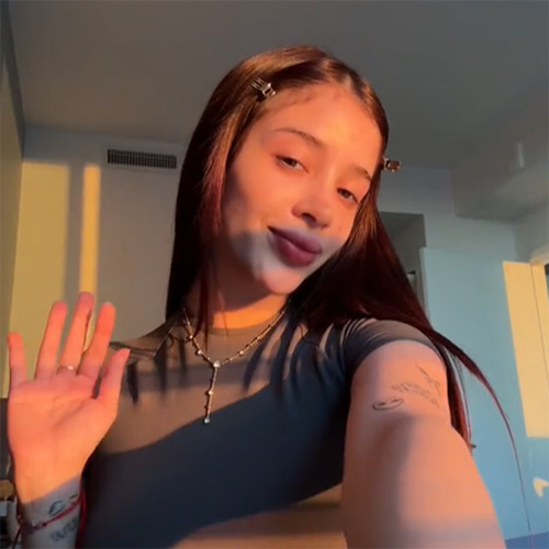 TikTok網紅：美國個護美妝日常類頭部博主